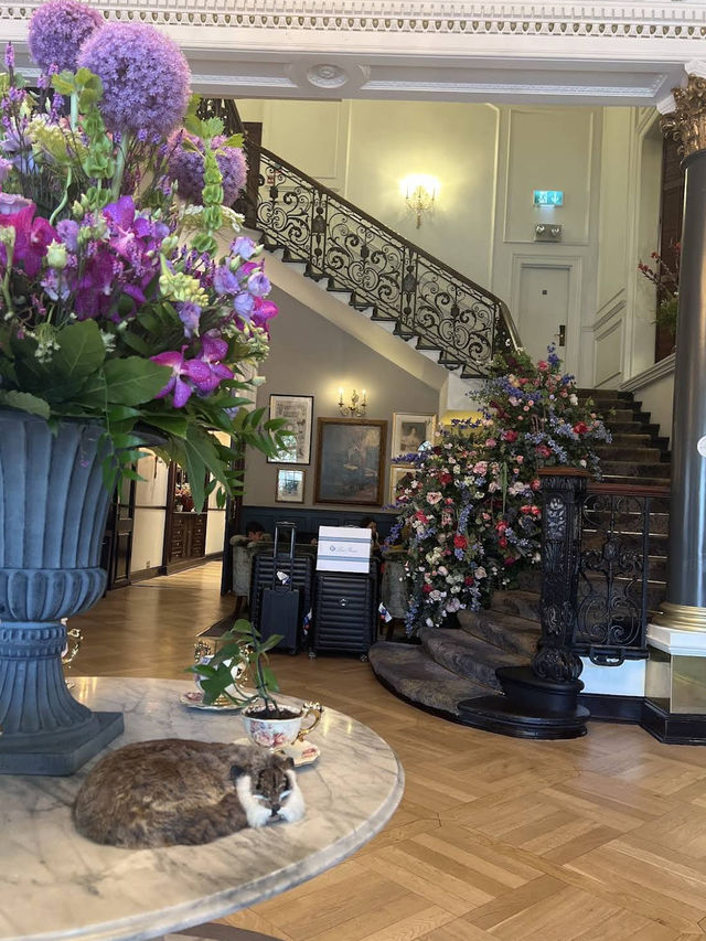 🏨✨ Boutique Heritage Stay at The Bailey’s Hotel, London Kensington 📍