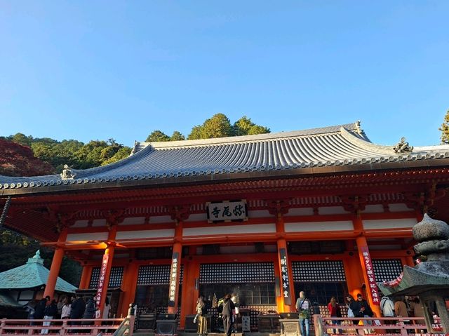 ✨️勝尾寺達摩寺⛩️大阪必去打卡好去處介紹📸💕 ✨️勝尾寺達摩寺⛩️大阪必去打卡好去處介紹📸💕