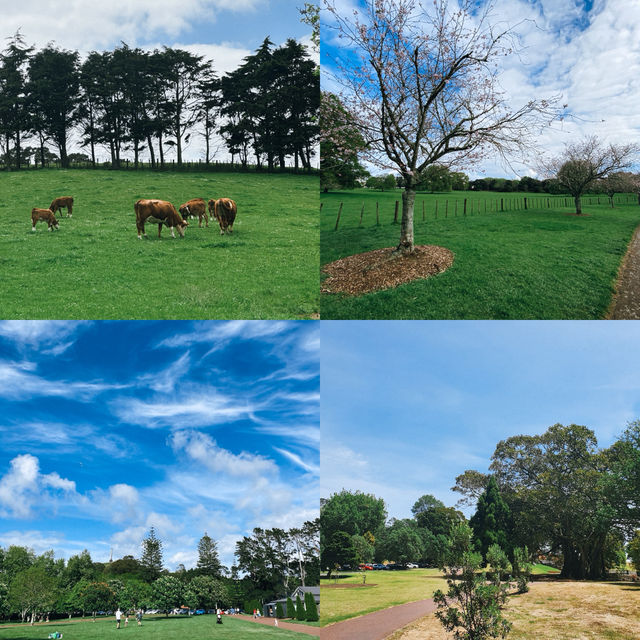 แนะนำสวนสาธารณะ 4 แห่ง ในโอ๊คแลนด์ นิวซีแลนด์