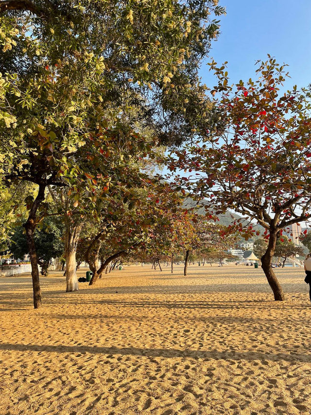Repulse Bay — пляжный район Гонконга Repulse Bay — пляжный район Гонконга