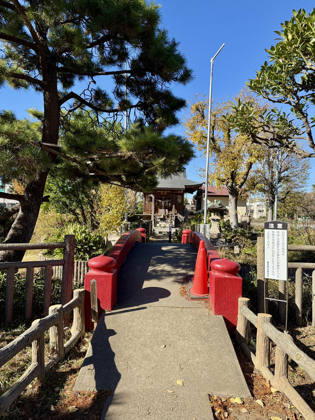 🍁 Autumn Reflections at a Secret Shrine Pond 🍁 Autumn Reflections at a Secret Shrine Pond