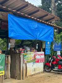 บ้านแม่แมะ เชียงดาว — หมู่บ้านกลางหุบเขาที่เงียบ