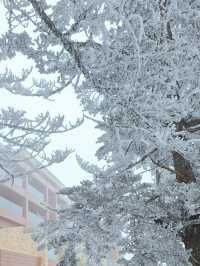 Xiling Snow Mountain