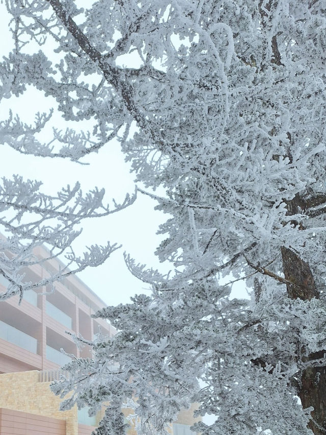 Xiling Snow Mountain Xiling Snow Mountain