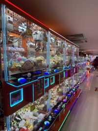 The Ultimate Claw Machine Paradise at Sunway Pyramid 🎡🕹️