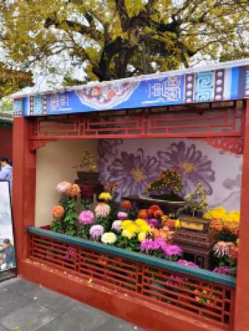 Autumn's Masterpiece in an Emperor's Garden