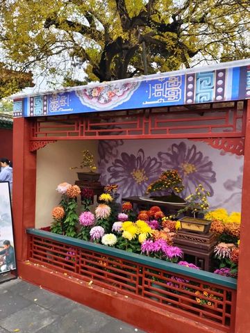 Autumn's Masterpiece in an Emperor's Garden