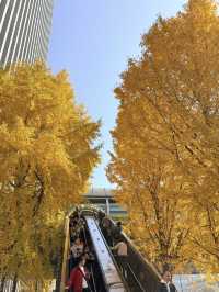 คู่มือเที่ยวเซี่ยงไฮ้ 6 วัน ในวันหยุยาว