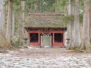 1,000+ YEAR OLD SHRINE IN NAGANO 🌲⛩️