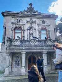 🦚 POV: My 3 AM Dream. Peacocks Living In A 19th-Century Palace