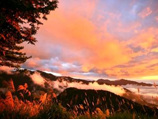 阿里山公路隱藏的瑰寶免費觀景點，可欣賞日出和雲海