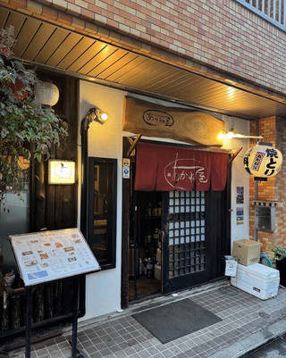 🍢 후쿠오카 현지인 맛집 발견! 야키토리+모츠나베 다 되는 이자카야 'あかね屋'