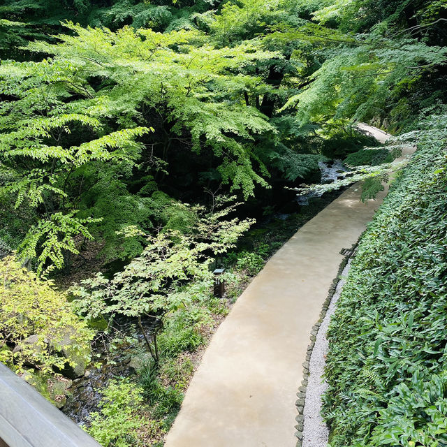 【名古屋市🇯🇵徳川園】マイナスイオンに包まれて☺️のんびり庭園散歩