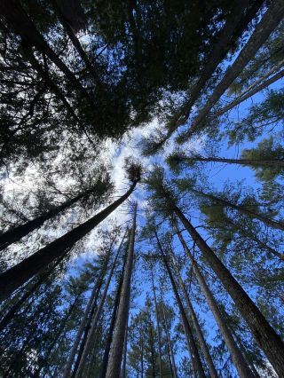Hiking in Millbrook During Spring