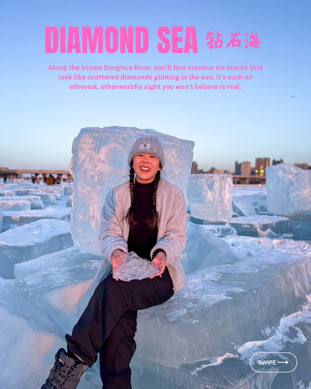 Don't miss out on the magic of Harbin