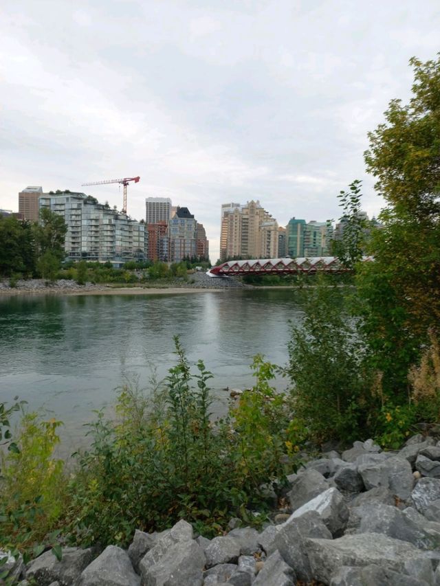 Peace Bridge