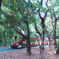 [大阪Osaka] 賞櫻、賞花、賞楓好去處－『萬博紀念公園 』