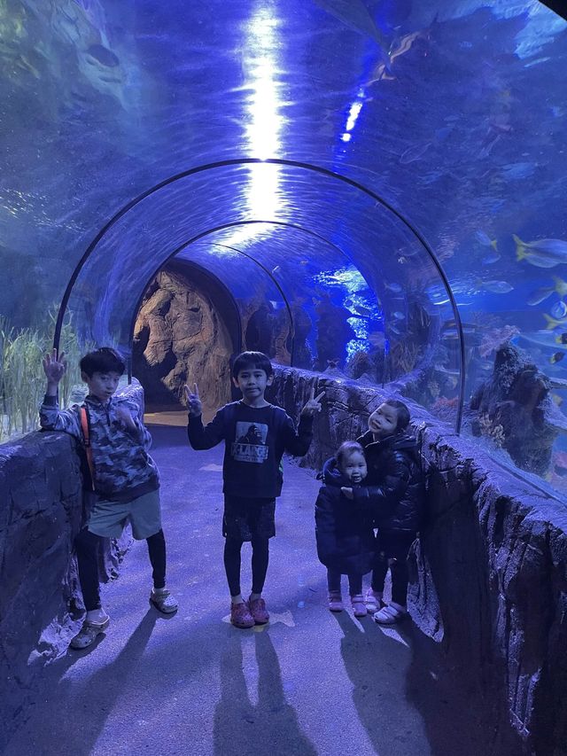 英國野生動物園酒店