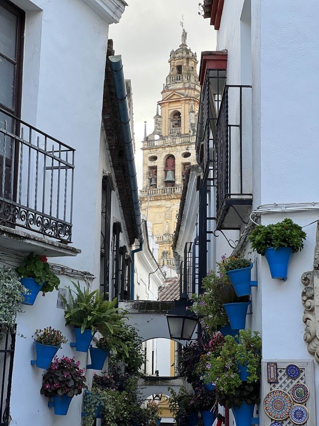 🇪🇸 안달루시아 아랍/유럽 문화의 믹스 코르도바