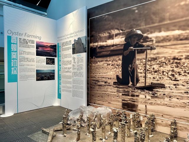 Hong Kong Maritime Museum ⛴️