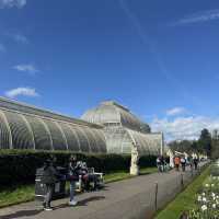 Ever so beautifully blossoming Kew Gardens!