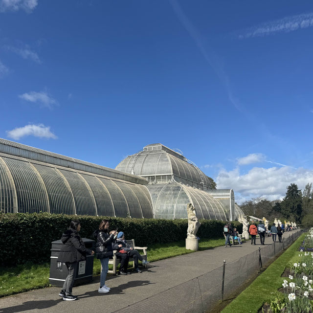 Ever so beautifully blossoming Kew Gardens!