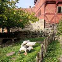Aarhus: hidden gem of denmark!