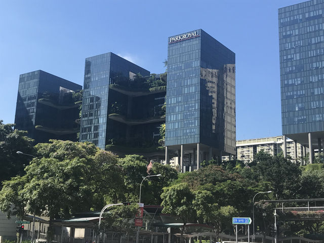Singapore: A Dynamic Fusion of Culture, Innovation, and Green Spaces