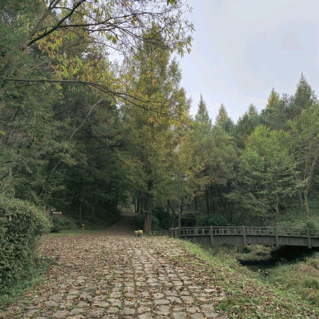 국내여행 도시 중 하나인 보은에 있는 삼년산성은