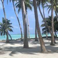 Maldives: Dream destination that won’t break the bank!