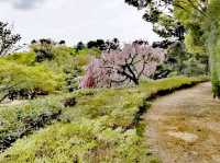 白鳥庭園