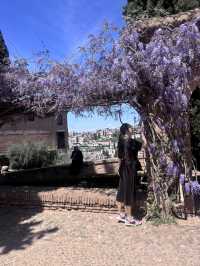 🌸🌸🌸 Granada is blooming beautiful 🌸🌸🌸