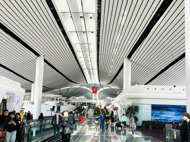 中國園林驚艷登場，北京大興國際機場也太美了吧😍