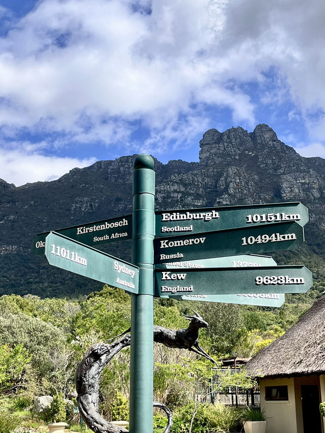 Kirstenbosch Gardens – Nature’s Masterpiece at Table Mountain’s Base 🌷