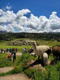 해외여행 페루 쿠스코를 여행 할 때 필수코스인 Saqsaywaman