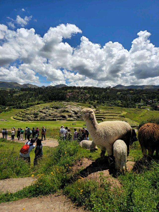 해외여행 페루 쿠스코를 여행 할 때 필수코스인 Saqsaywaman
