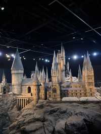 A Muggle’s Day in the Wizarding World