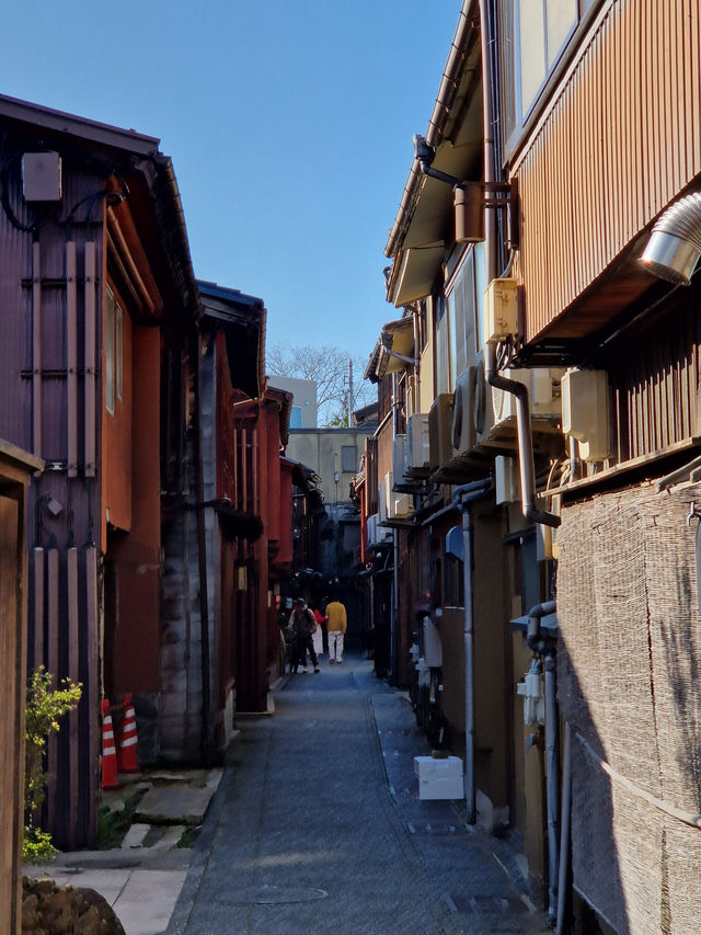 Kanazawa in 3 Days: A Cultural Feast (With Curry on Top!)