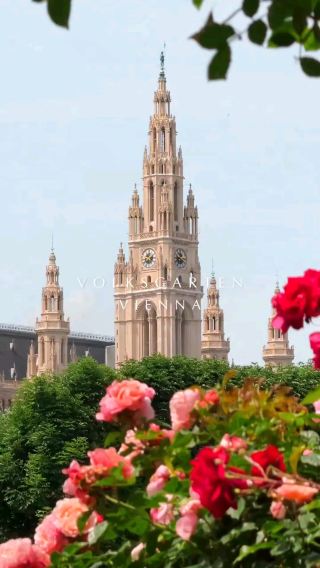 🌸 Volksgarten: Vienna’s Blooming Oasis of Peace and Elegance 🌿