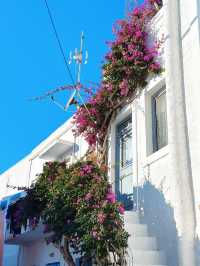 Summer in Paros