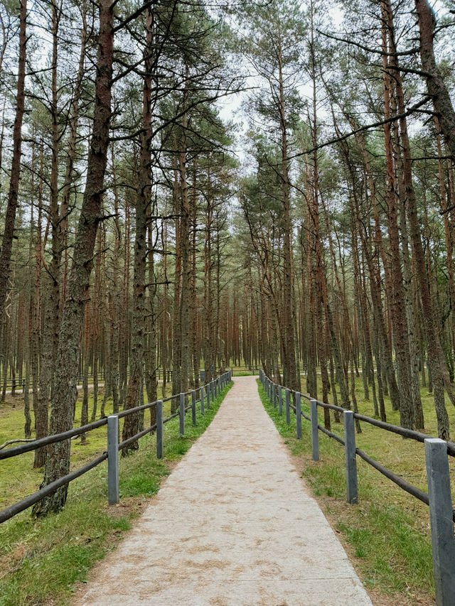 The Curonian Spit is a narrow sandy stretch of land between the Baltic Sea and the Curonian Lagoon