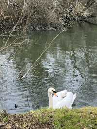 Southampton Serenity: Yoga + Run in Nature