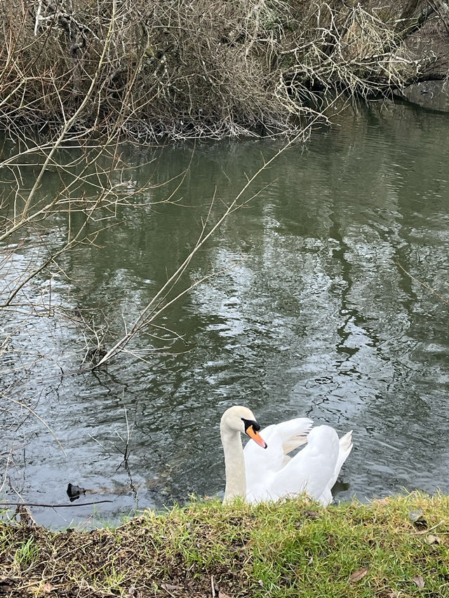 Southampton Serenity: Yoga + Run in Nature