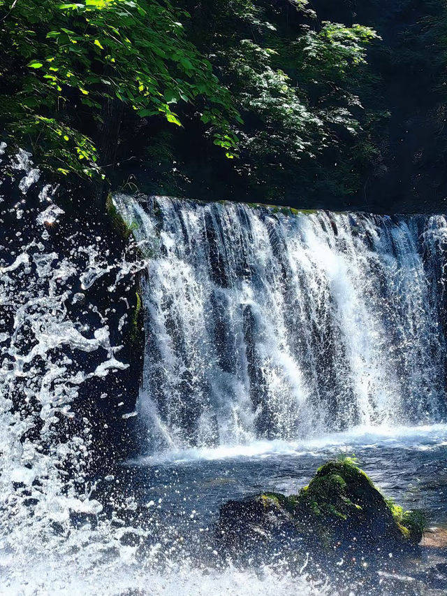 Wandering Through Huinan: The Green Heart of Jilin