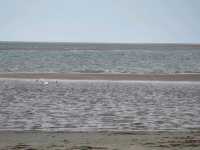Dunes of fun in Ynyslas, Wales.