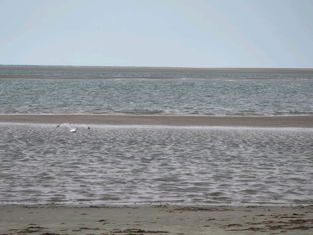 Dunes of fun in Ynyslas, Wales.