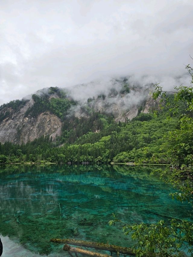 Marveling at the Bioluminescent Glow of Jiuzhaigou's Night Lakes 2 Jiuzhaigou lakes at dusk