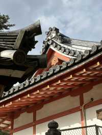 Deer, Temples & Tranquility: The Ultimate Nara Park Stroll 