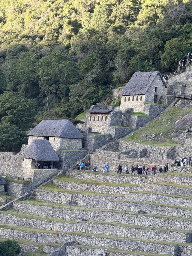 Discover the Wonder of Machu Picchu 