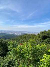 Skyline Sparkle type of city you have to visit at least once 🌃